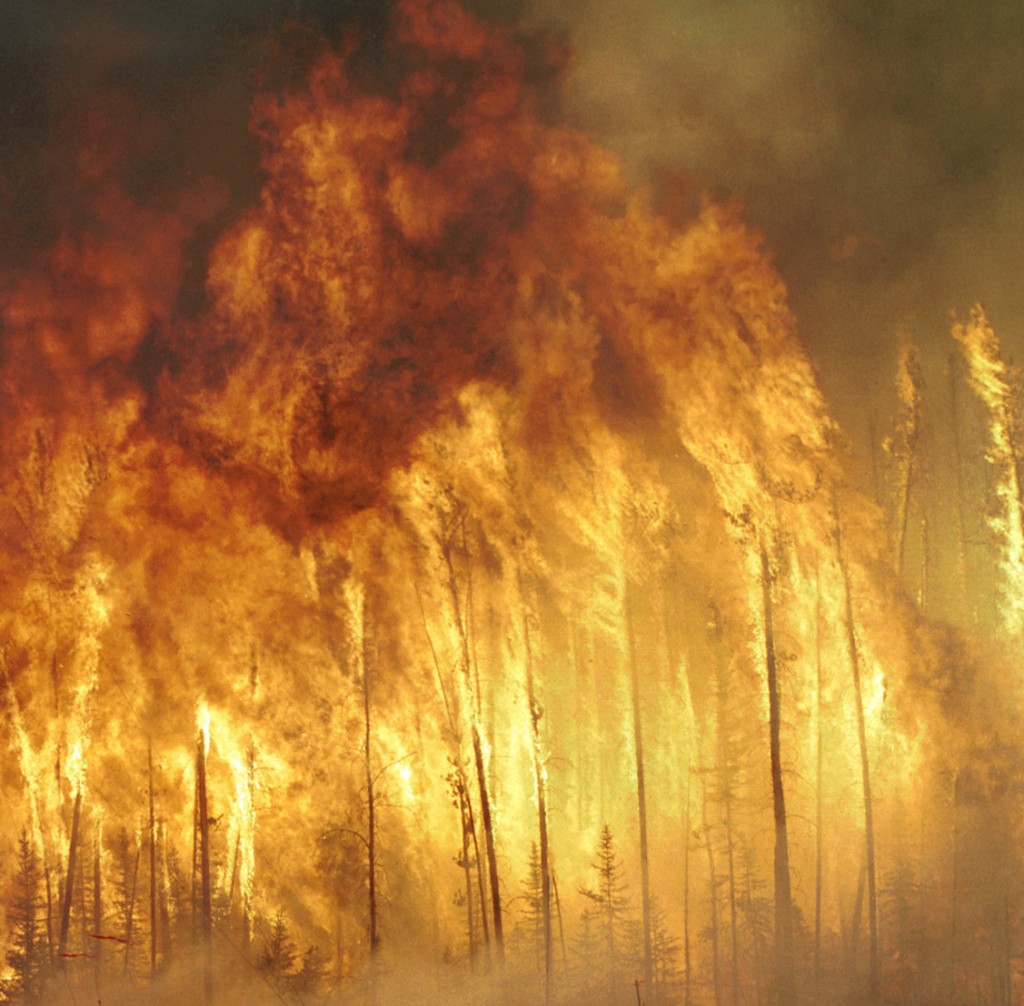 Canadian forest fire, cropped 2, from Wikipedia