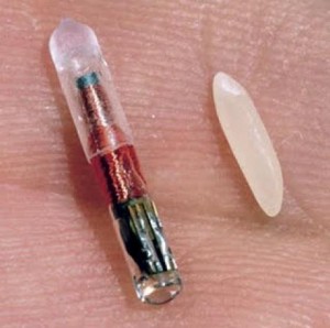 RFID capsule with grain of rice