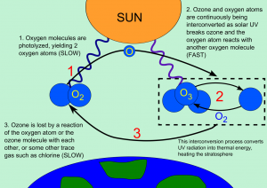 Ozone cycle in upper atmosphere, Wikipedia