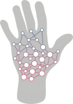 Biyo biometric hand vein scan