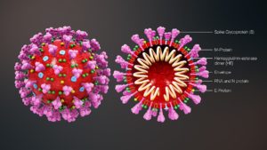 Coronavirus 3D Illustration, Wikipedia