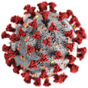 Coronavirus SARS-CoV-2, Wikipedia image
