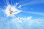 Holy spirit doves flying in the sky